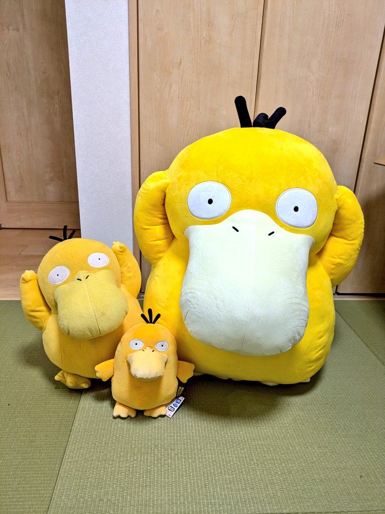 redmoon95's tweet photo. ようこそ我が家へ🥰🥰🥰🥰🥰 https://t.co/gBCehuaT5g