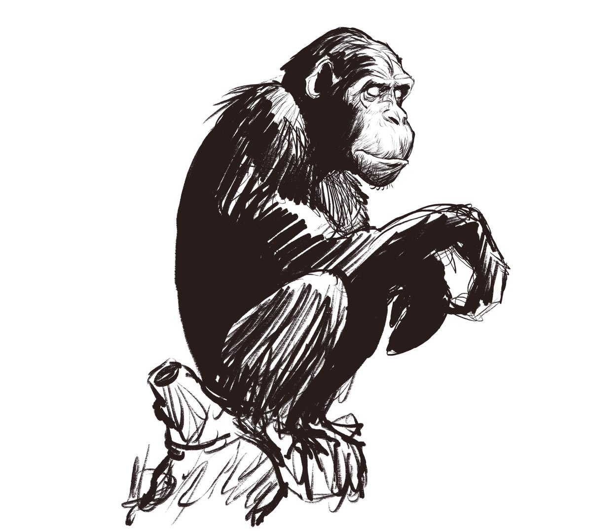 Dave Mottram tweet media