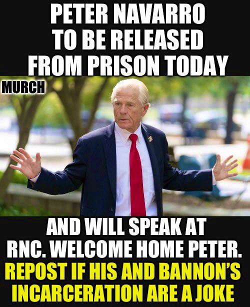 Welcome home Peter Navarro. He will speak before the RNC ends Thursday. 

Who thinks his and Bannon’s incarceration are an assault on conservatives while Merrick Garland walks freely? 🙋‍♂️