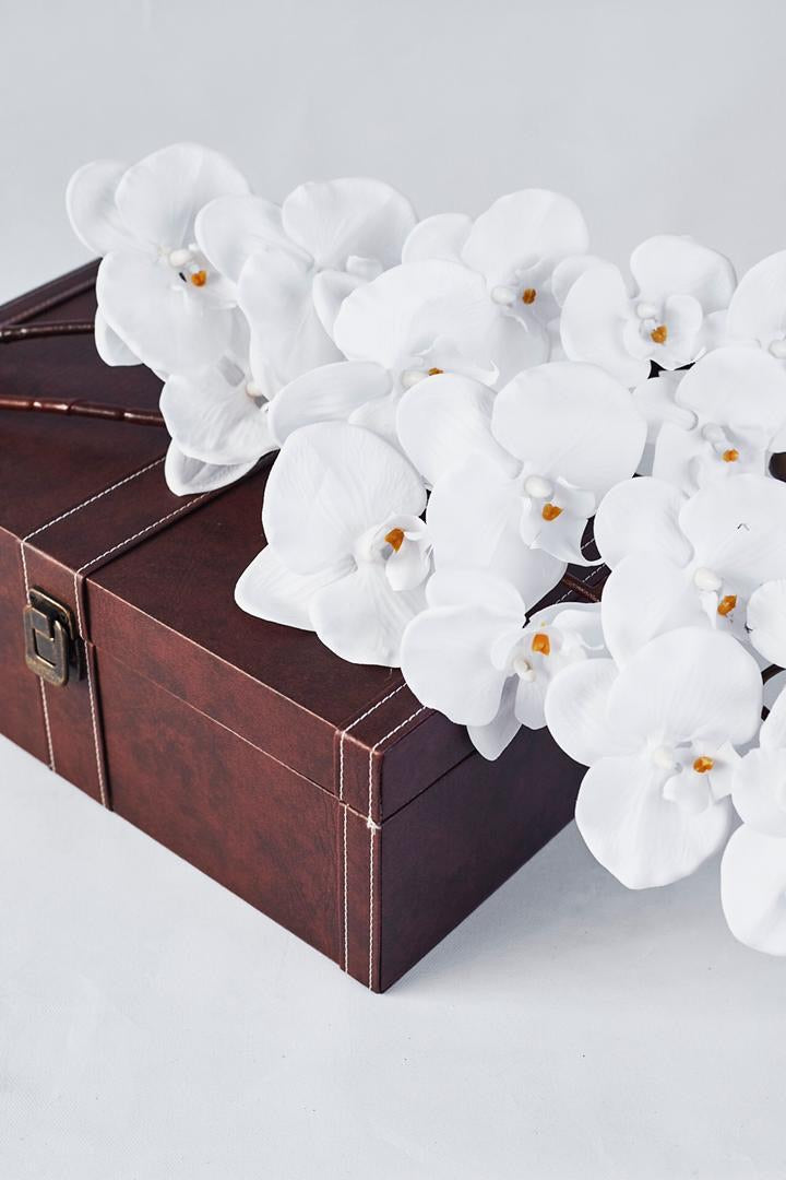 a2twproperties's tweet photo. Orchid stems available for your decoration and gifting purposes. https://t.co/at0x9MJA6d