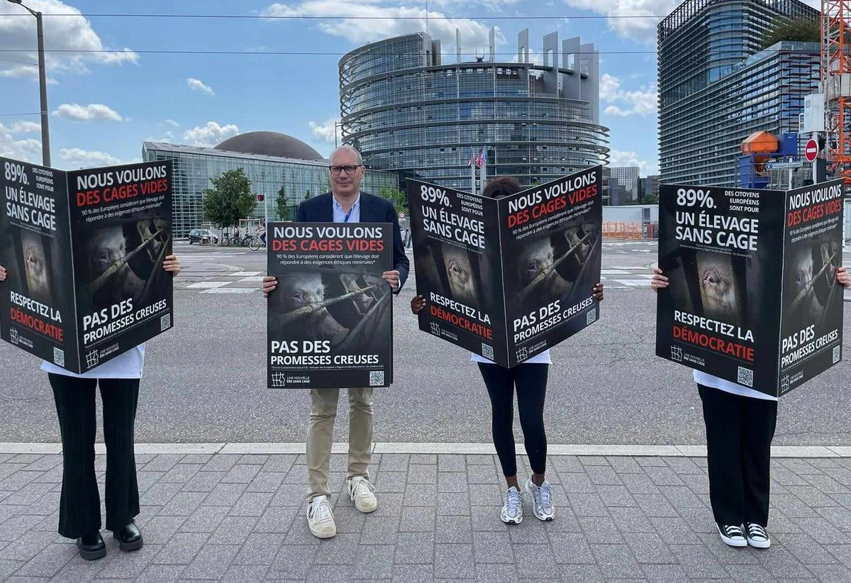 CIWF France tweet media