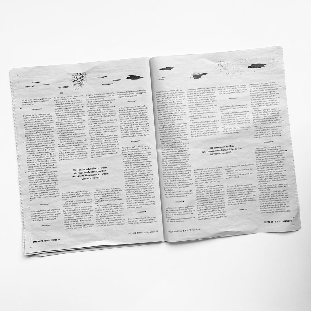 MaroVerlag tweet media