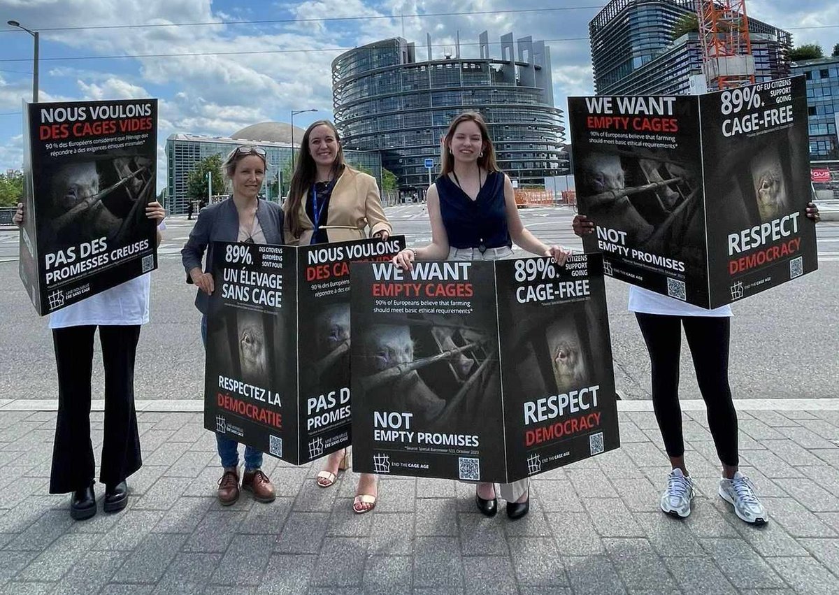 CIWF France tweet media