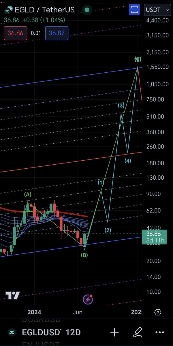 $EGLD - A speculative idea. Not financial advice.