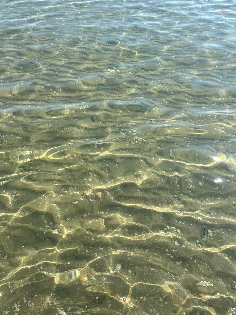 Strong passion tweet media