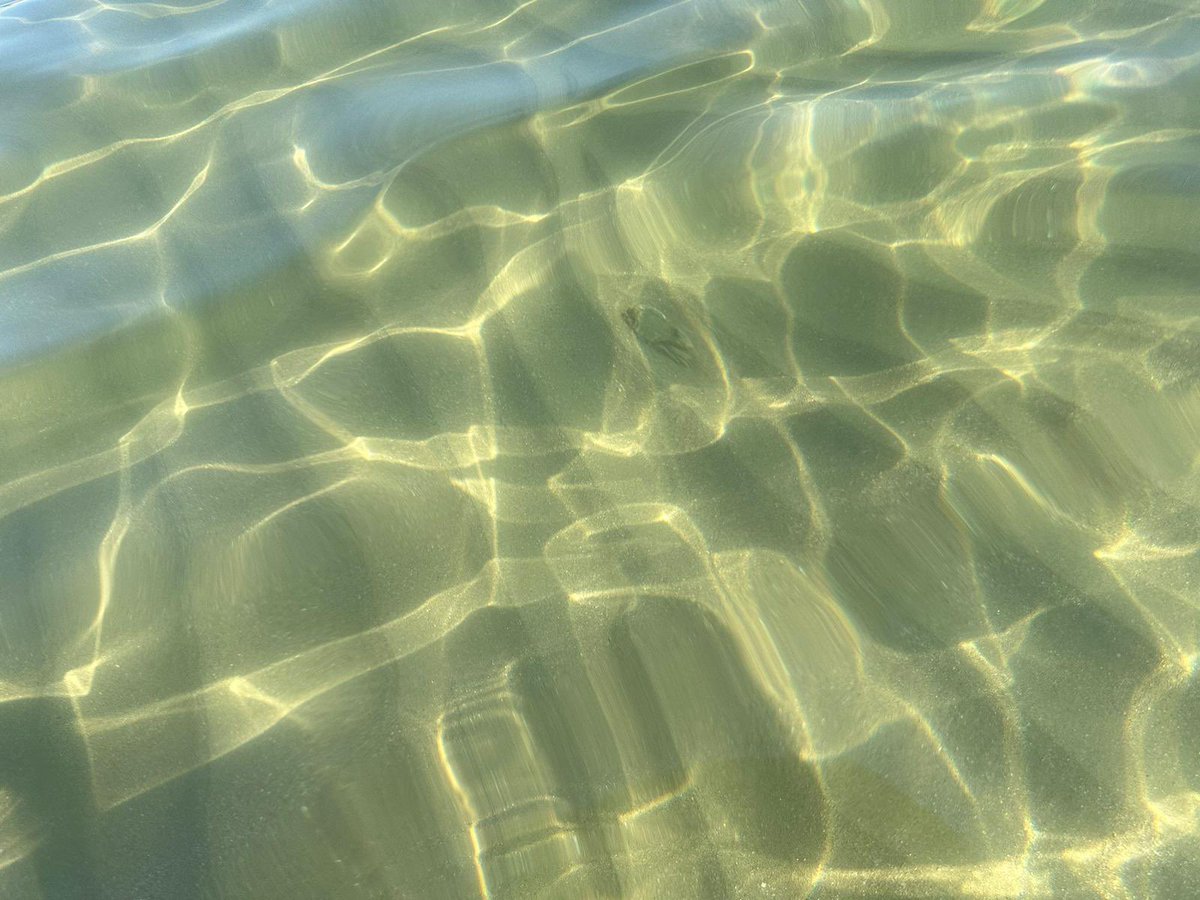 Strong passion tweet media