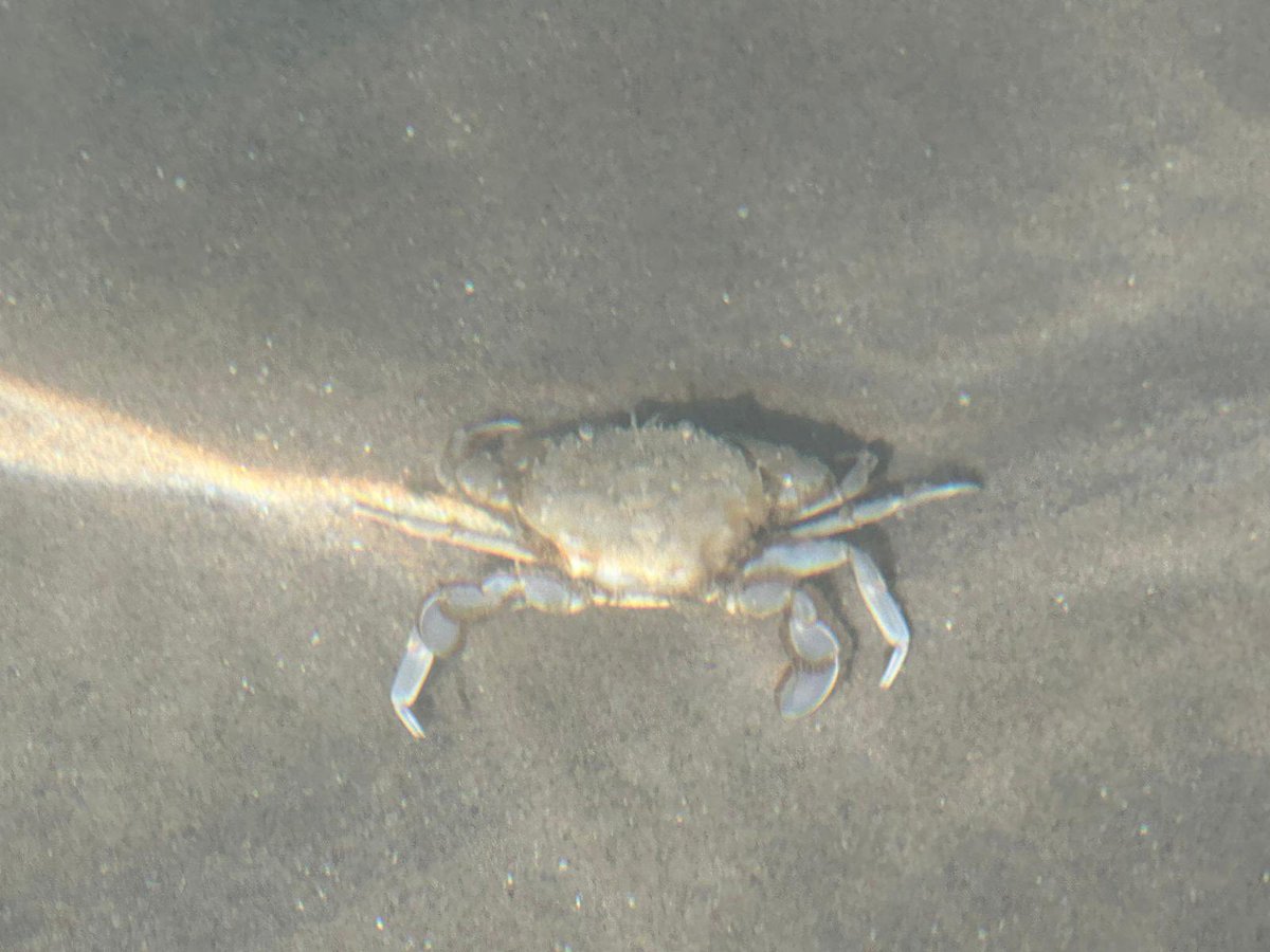 Strong passion tweet media