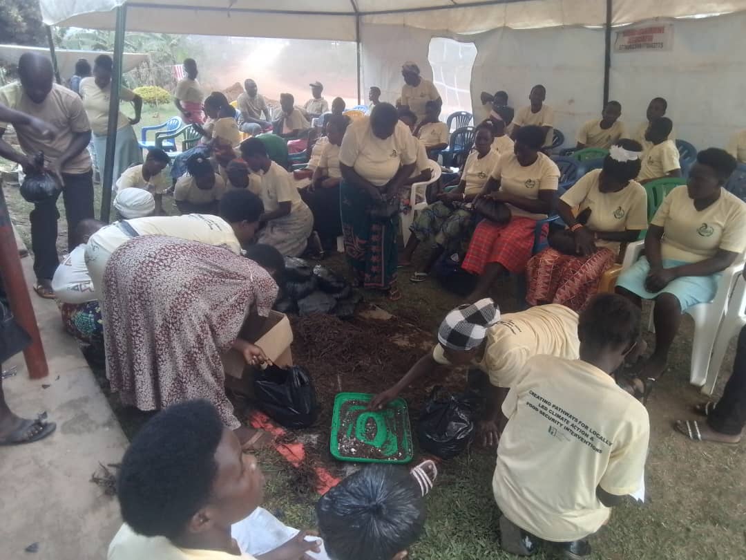 As usual we appreciate the work of our partners in development URDT
