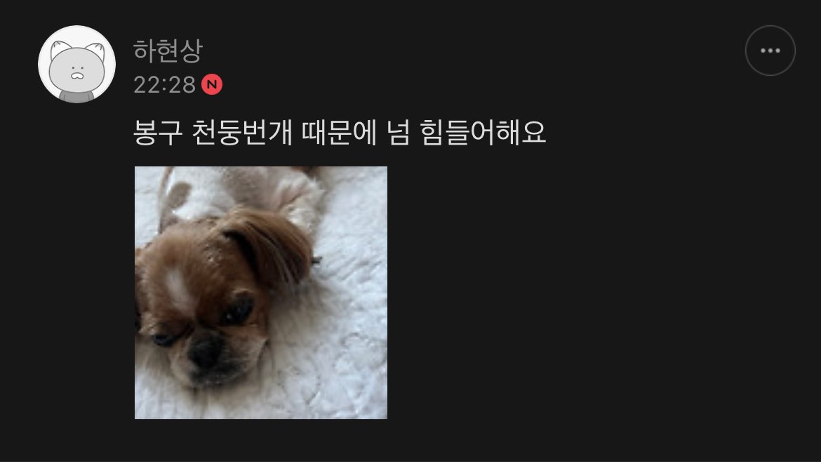 haha_hyun_'s tweet photo. 올해도 봉구가…🥺🥺 https://t.co/4lQJm3Q7bX