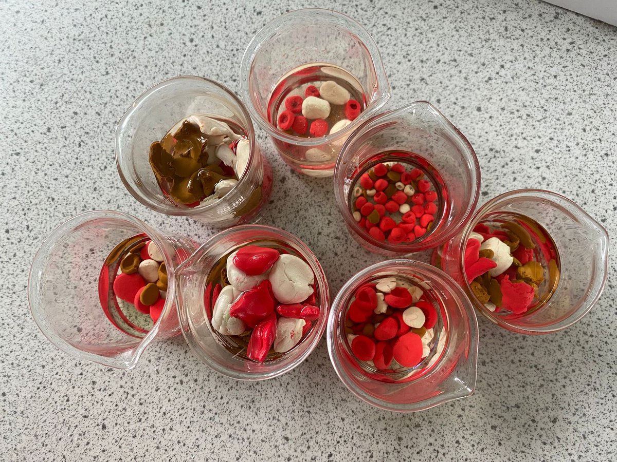 OAFScience tweet media