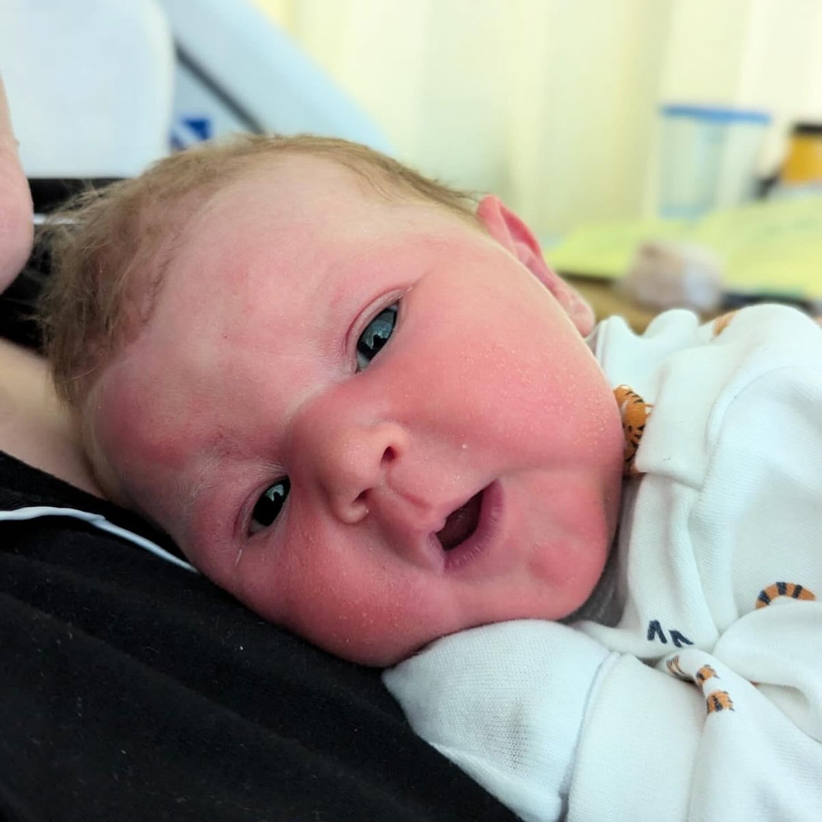 Rob Page tweet media