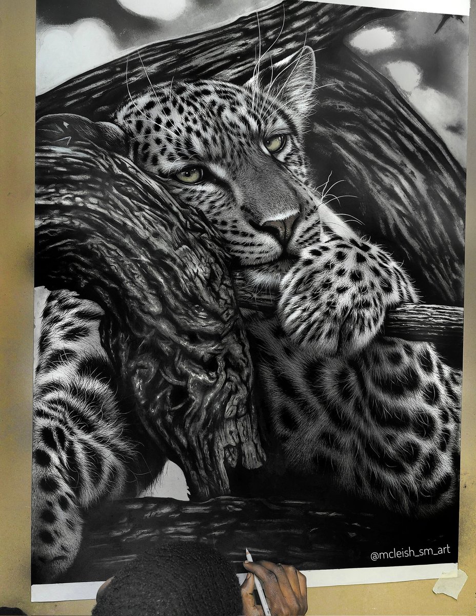 What title would you give to this Leopard Drawing?