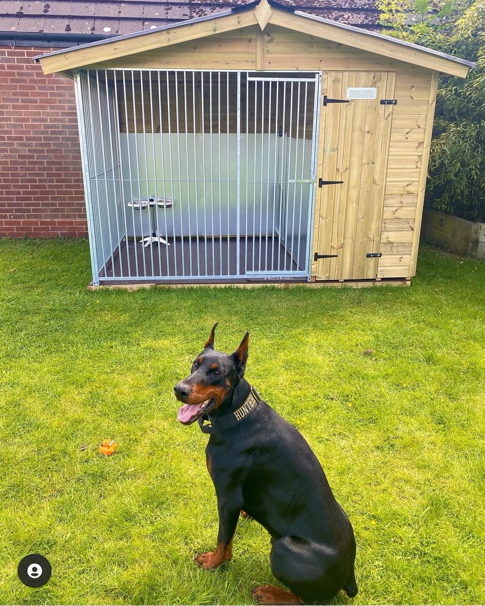 BenchmarkKenne1's tweet photo. High-quality dog kennels for sale, all made with premium grade tanalised timber. Get in touch for a personalised quote #dogs #dogsofinstagram #dog #doglover #dogoftheday #instadog #doglovers #doglife #pets #love #puppylove #puppies #pet #securitydog #dogsofinsta #protectiondog https://t.co/zurrT5y0jW