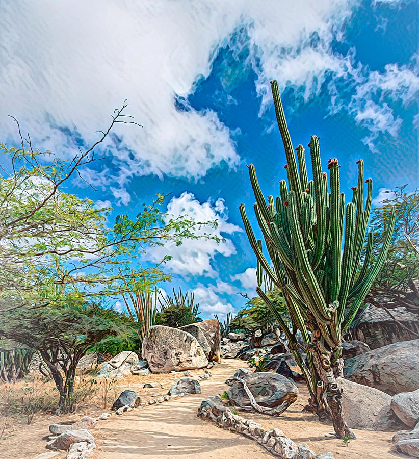 DebraMartz's tweet image. Casibari Walkway Aruba Painterly by Debra Martz 
The island of Aruba is extremely arid, where rainfall is minimal and cacti are native plants. 

Get-It-Here: debra-martz.pixels.com/featured/casib…

#pathway #walkway #Aruba #cacti #nature #photoArt #BuyIntoArt #WallArt #HomeDecor