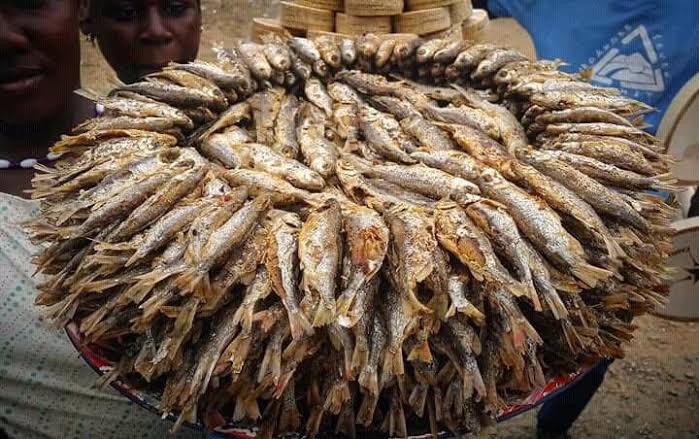 Nilotes Connection (@thenilotesconn1) on Twitter photo One of the things that we shall be showcasing at the Nilotes Connection on 10th August is our delicious food 😃
Entrance is just 20k so feel free to bring a friend along with you so that they can have a taste of our culture 😍
#NilotesConnection24 
#KitengeEdition One of the things that we shall be showcasing at the Nilotes Connection on 10th August is our delicious food 😃
Entrance is just 20k so feel free to bring a friend along with you so that they can have a taste of our culture 😍
#NilotesConnection24 
#KitengeEdition