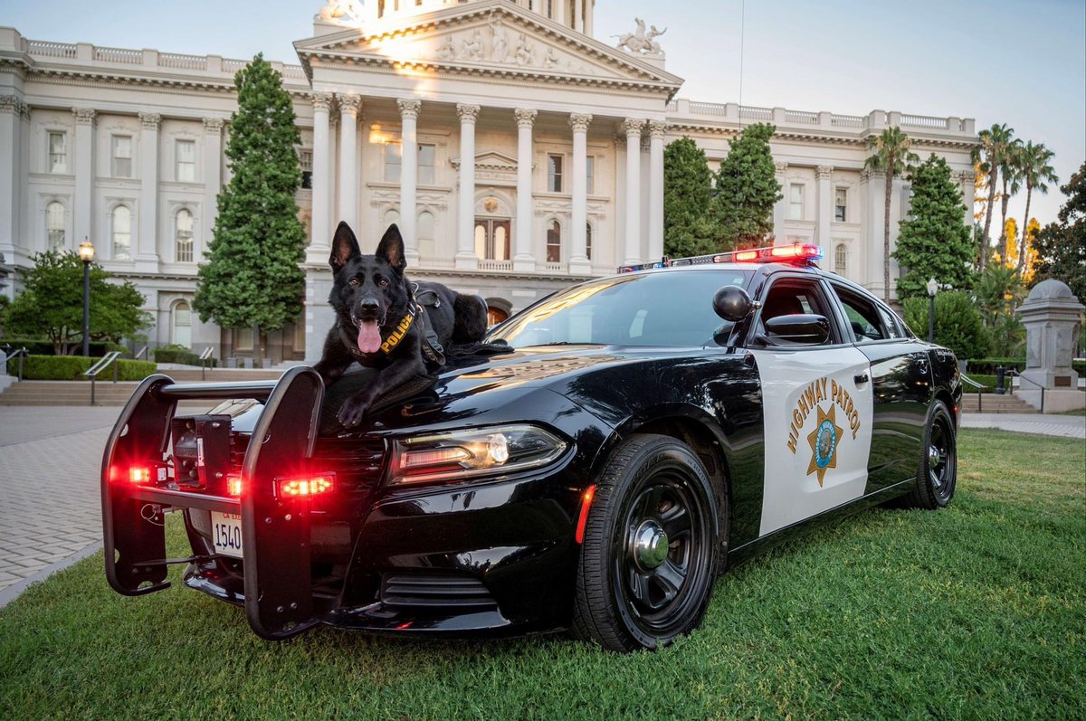CHP_Oroville's tweet photo. Help us make the California Highway Patrol the best-looking cruiser in America! Vote for CHP in the AAST contest by visiting https://t.co/Zj4WN7mFTQ and selecting "California." Voting ends July 29, 9 AM PDT. #CaliforniaHighwayPatrol #BestCruiser #AAST https://t.co/c4g3YGMM7y