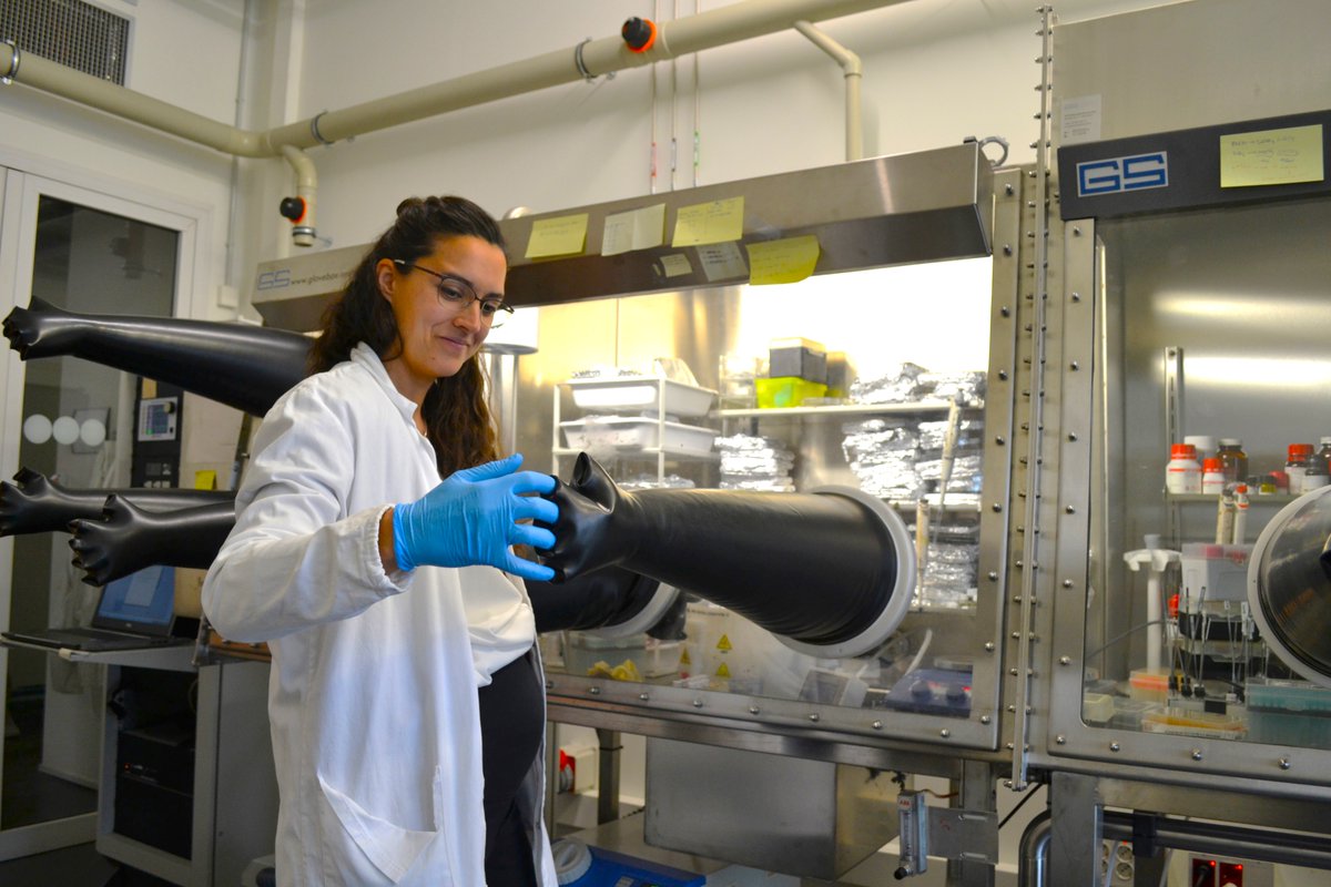icn2nano's tweet photo. π #ICN2 ππππ§π¦ πππ«π’ππ¬
πΈ Capturing the #teamwork and dedication at ICN2, showcased by some ICN2 employees in action who are committed to advancing #nanoscience and #nanotechnology.
π Do you recognise any of the high-quality equipmentβ Comment below!
#PhotoRecap https://t.co/FpwhzK05LC