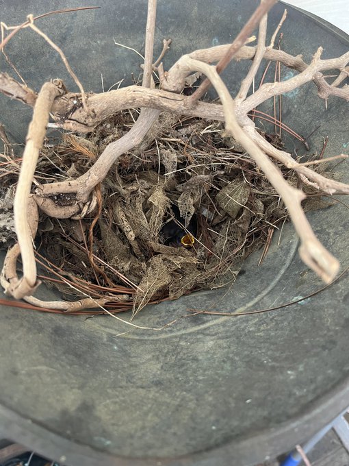 i would help feed her if i could but her parents are doing a really good job https://t.co/hrFm31ChPG