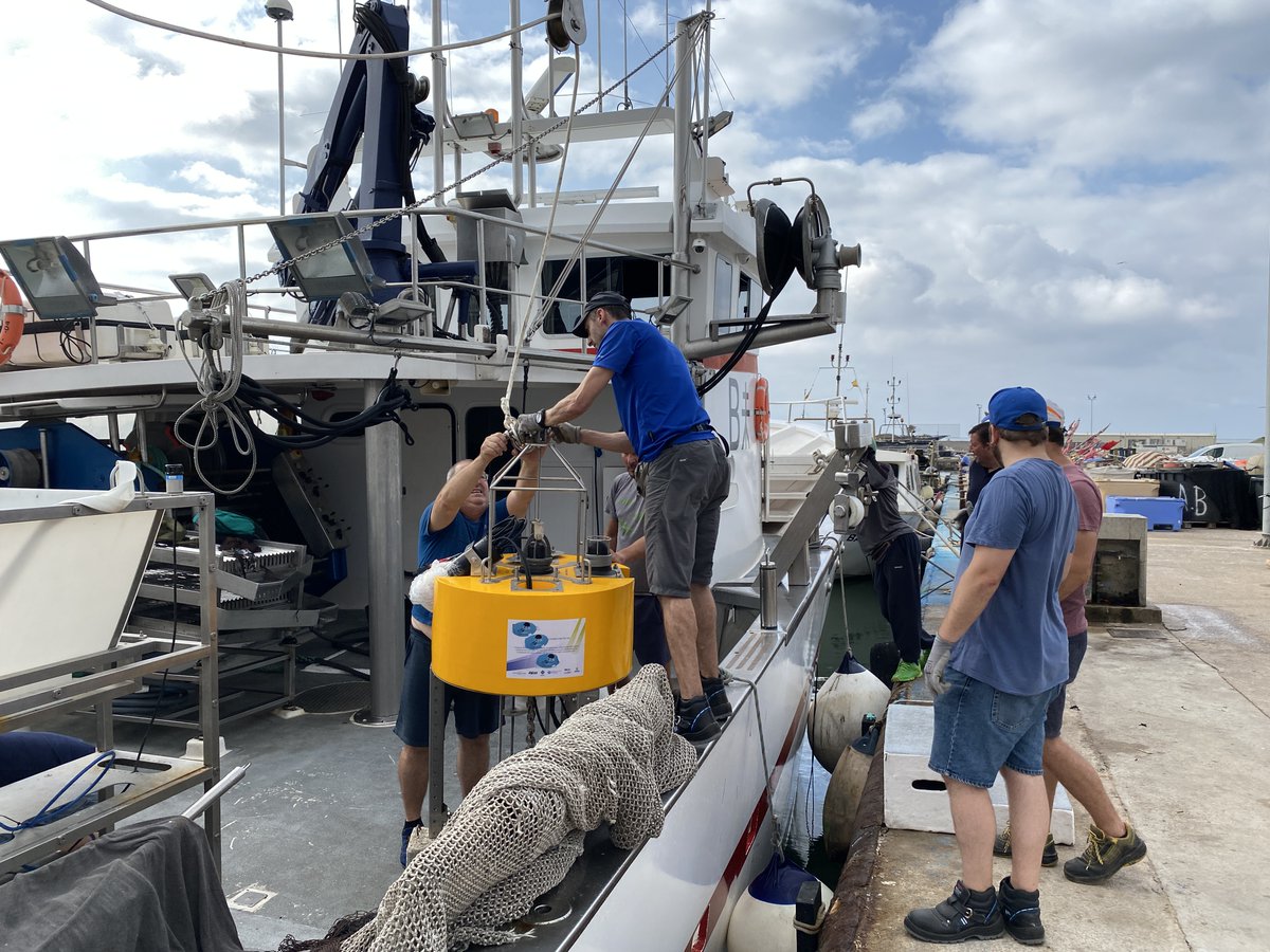 OBSEA observatory tweet media