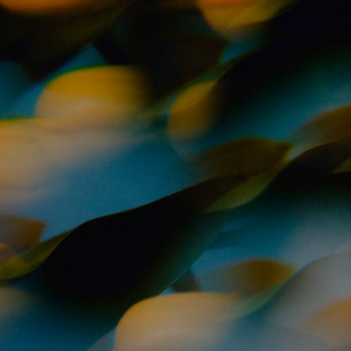 qbtrance_com's tweet photo. Ben Böhmer lanza un nuevo sencillo en colaboración con Lykke Li
El DJ y productor presenta uno de sus sencillos mas emotivos https://t.co/yk1AmjQzg9