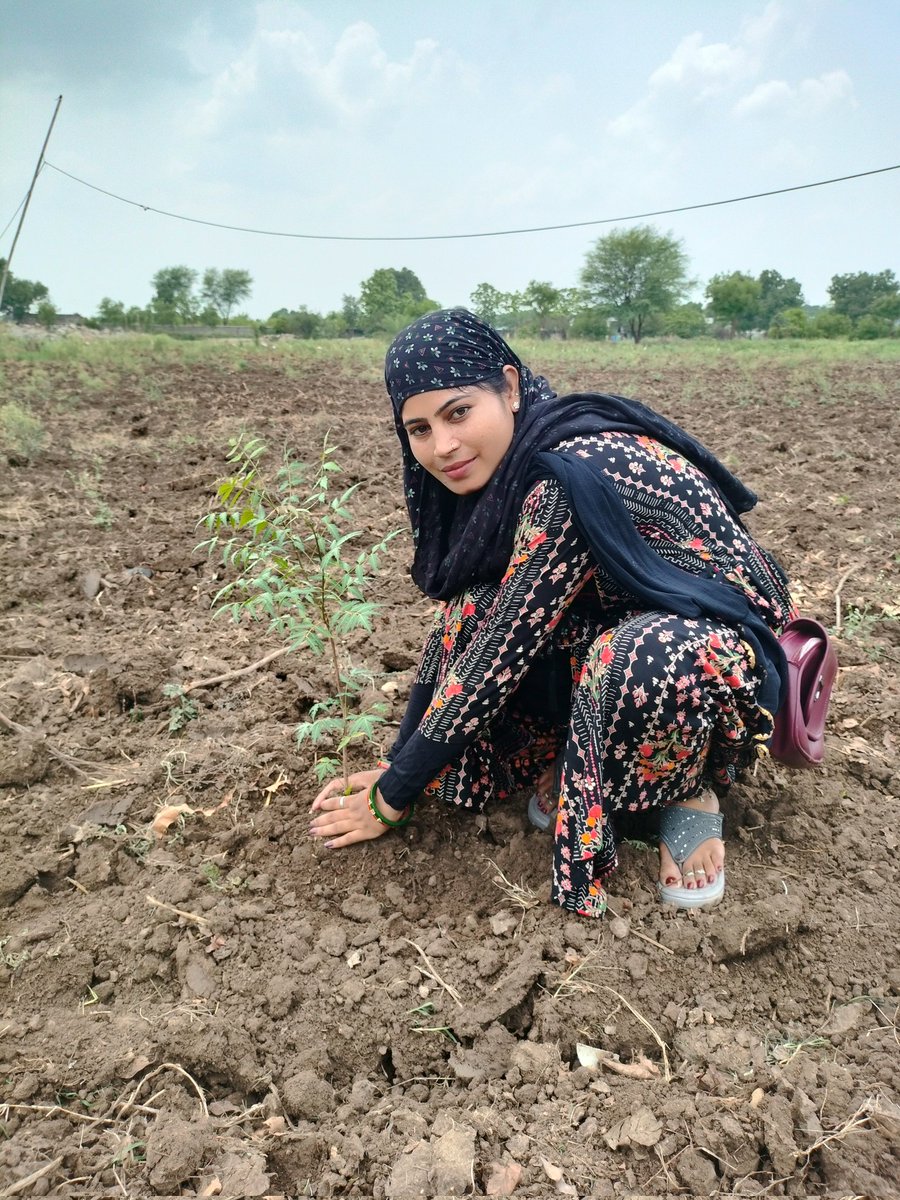 ItsHansa01's tweet photo. किस किस ने इस बार #पेड़ लगाया है ।
लगाया है तो किसका लगाया है जवाब जरूर देना।
#tree #messiontree #agriculture
#newtree
#Plantation https://t.co/UoDs3I5RkE
