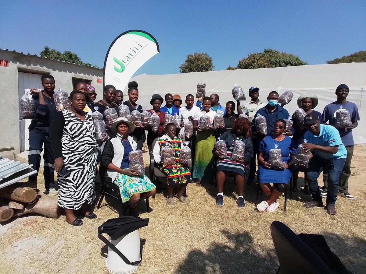 Stakeholder Mushroom Production training in Karoi, Hurungwe District, targeting the Ministry Women Affairs, Community, Small and Medium Enterprises Development stakeholders supported by Utariri Programme.