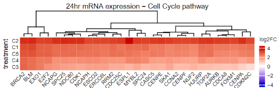 Jeff Saucerman (@jsauce7) on Twitter photo To identify how they work, we profiled human iPSC-derived cardiomyocytes treated with compounds with diverse targets including Wnt pathway, ALK5, CB1R, and COX1/2. We found conserved transcriptomic and proteomic signatures of cardiomyocyte proliferation. 3/ <a href="/iScience_CP/">iScience journal</a> To identify how they work, we profiled human iPSC-derived cardiomyocytes treated with compounds with diverse targets including Wnt pathway, ALK5, CB1R, and COX1/2. We found conserved transcriptomic and proteomic signatures of cardiomyocyte proliferation. 3/ <a href="/iScience_CP/">iScience journal</a>