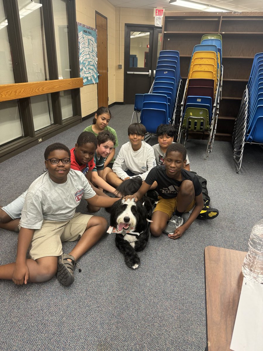 Archie THE Therapy Dog tweet media