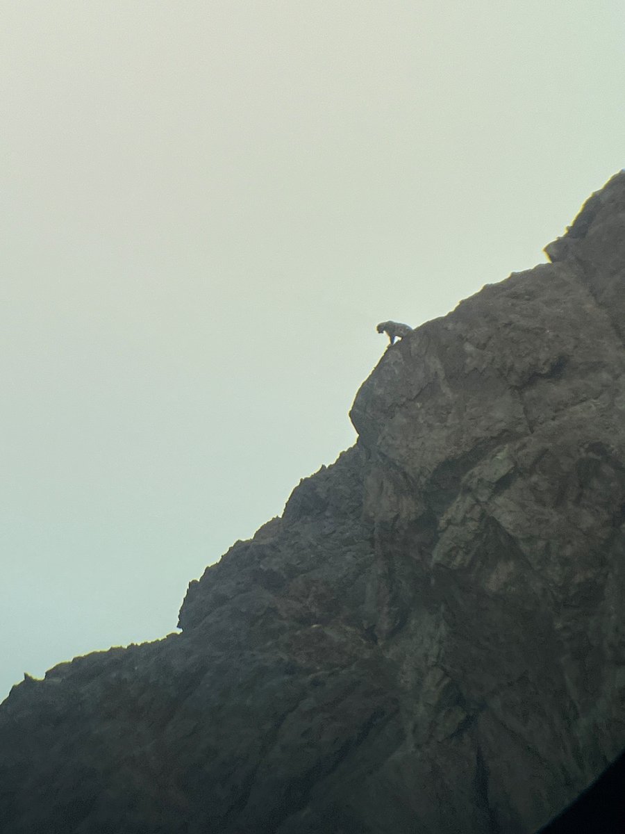 STC Expeditions tweet media