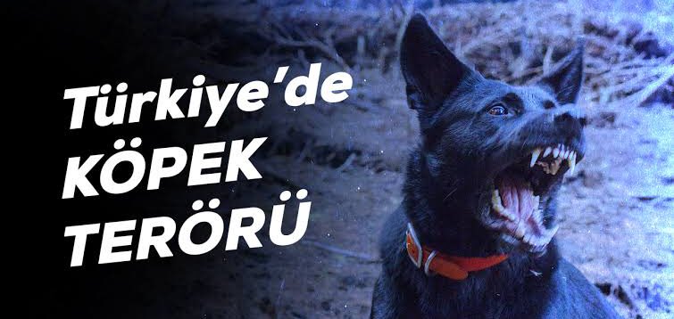 GİZLİ SERVİS tweet media