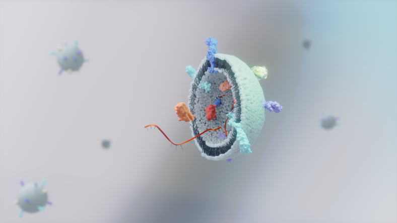 GENbio's tweet photo. Extracellular Vesicles Loaded More Easily with Help from Designer Proteins

Extracellular vesicles better candidates for drug delivery vehicles with new protein-guided cargo-loading approach Learn more: https://t.co/yVC9jB2U1y https://t.co/YXSu4I068a