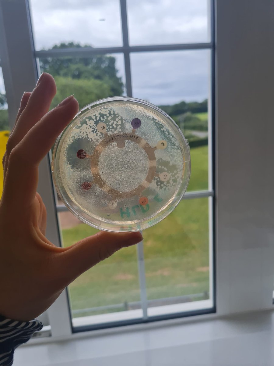 science_at's tweet photo. So proud of our yr12 Biologists. While the rest of yr12 were at work experience they were working hard completing required practicals &amp; enjoying some enrichment activities. Thanks to @ClintonDevon @DevonWildlife and @WildwoodDevon who helped us deliver a great week of activities. https://t.co/6Vk8TnE4Zj