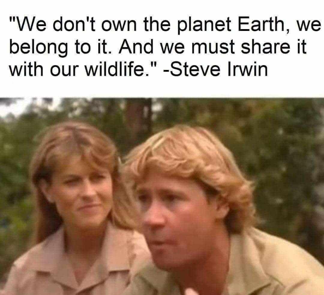 green4EMA's tweet image. RT if you agree with the late great Steve Irwin! We don't own the planet, we share it. 

#Climateaction #earth