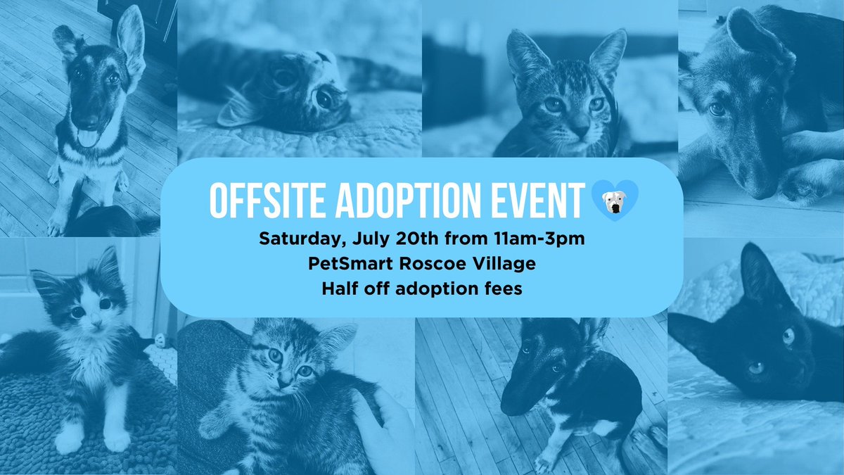 We'll be at the Rosco Village PetSmart on Saturday from 11am-3pm with adoptable kittens and German Shepard puppies! Adoptions are half off - adopt your new bff!