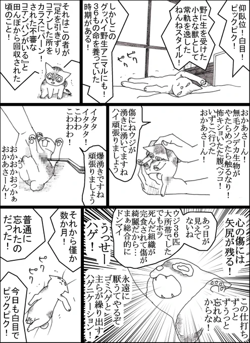 忘却は推進力 