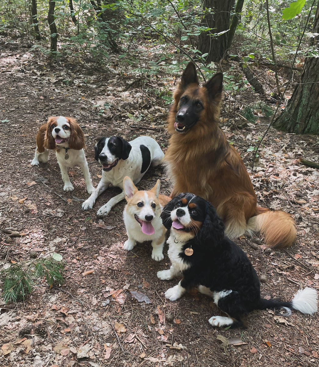 Magda 🦇 tweet media