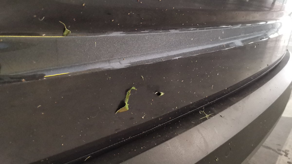 AlcorconSunsets's tweet photo. Hola @AytoAlcorcon @CandeTesta coche nuevo recién lavado y los de jardines me lo dejan así con picotazos. La siguiente vez que los vea  les dejaré llenos de arañazos el vehículo municipal.Lo mismo que hacen ellos. Ya que poner una reclamación es perder el tiempo. @PedroMorenoGmz https://t.co/wM3AGH5to1
