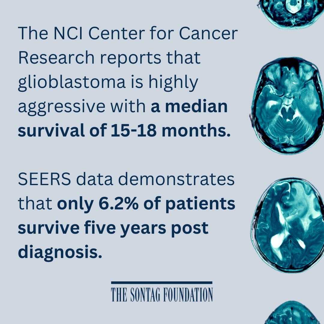 Today is #GlioblastomaAwarenessDay. Despite being the most common type of brain cancer, glioblastoma only has four FDA approved drugs for treatment since being discovered in the 1920s. 🧠 Learn how <a href="/BTNcares/">Brain Tumor Network</a> is helping #GBM patients: bit.ly/3Bg4oTG. #GBMday
