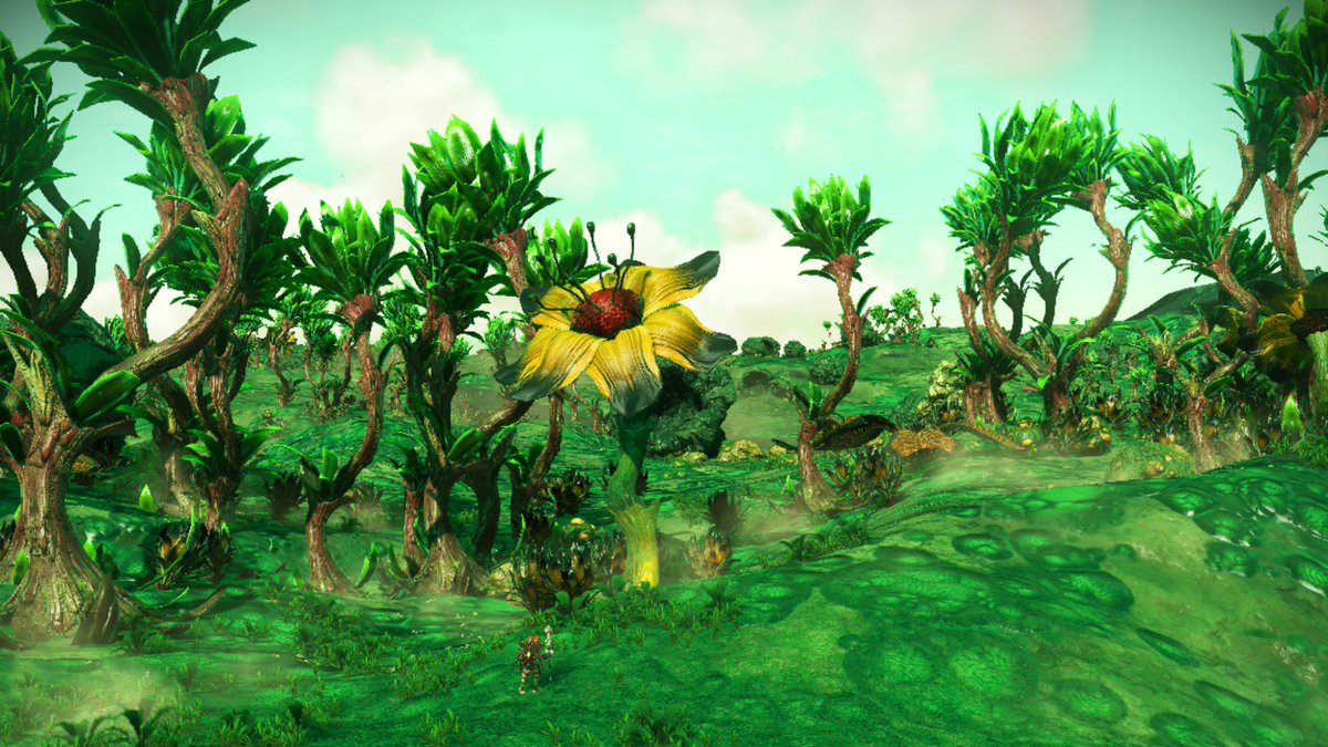 draconaa's tweet photo. So the Worlds I update has dropped!! Love this vibrancy! @nms @NoMansSky @hellogames #NoMansSky https://t.co/r3YbJ0qK6o