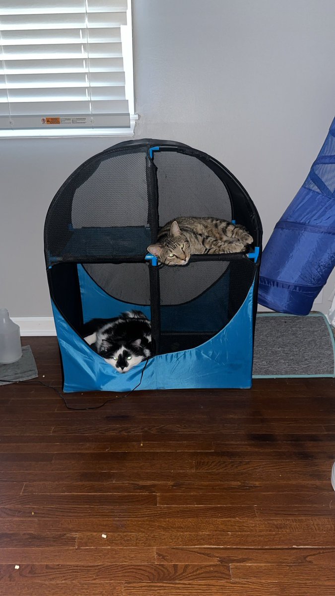 私たちは家にいます