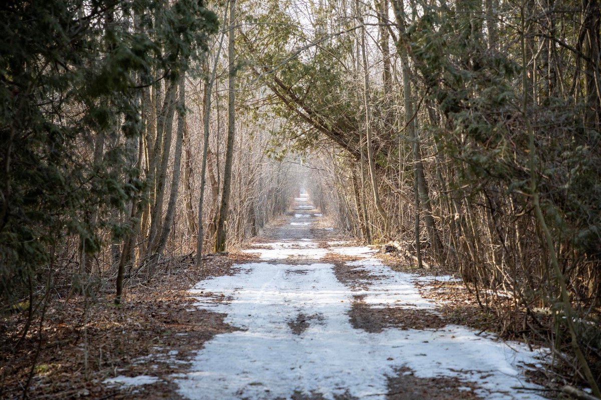 InfraOntario's tweet photo. #WaybackWedneday 2022-2023: IO transformed 900+ acres of rail lands into community assets at fair value. From ARROW property sales to community engagement, see how IO reshapes Ontario’s future, one plot at a time.
Learn more: https://t.co/bwmGe15orW https://t.co/vXmAmQnRO4