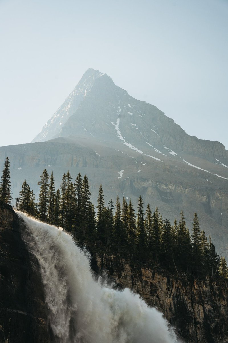 Sara Boychuk 🏔❄️ tweet media