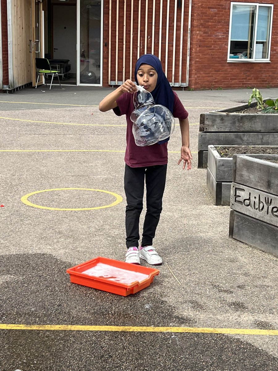 Seven Mills Primary tweet media