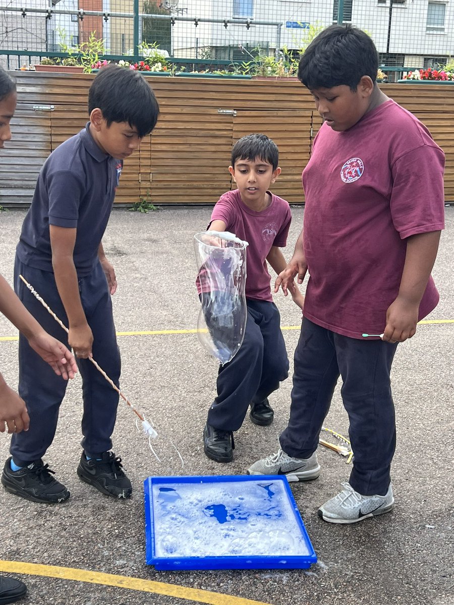 Seven Mills Primary tweet media