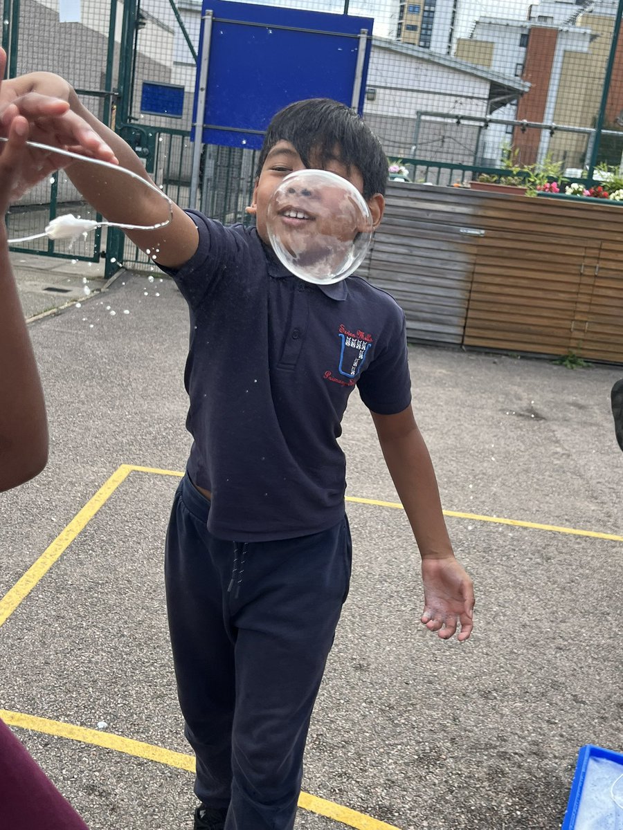 Seven Mills Primary tweet media