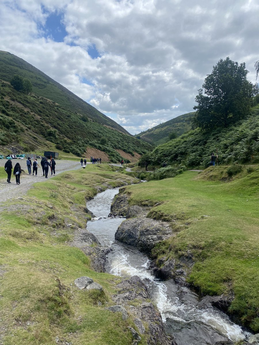 Mr Alley tweet media