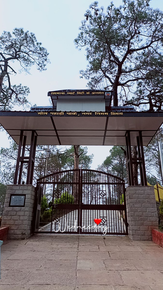Amtthakur's tweet image. #NatureTherapy #shimla #WeDoMoreWednesday #eveningvibes #eveningwalk