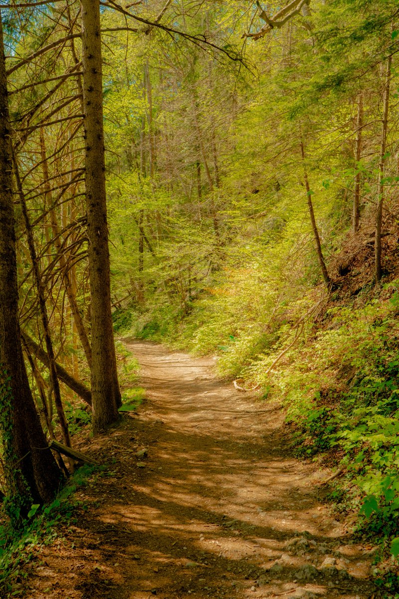 AlexKittoe's tweet photo. Hiking in Innsbruck https://t.co/u9APgGm8gu