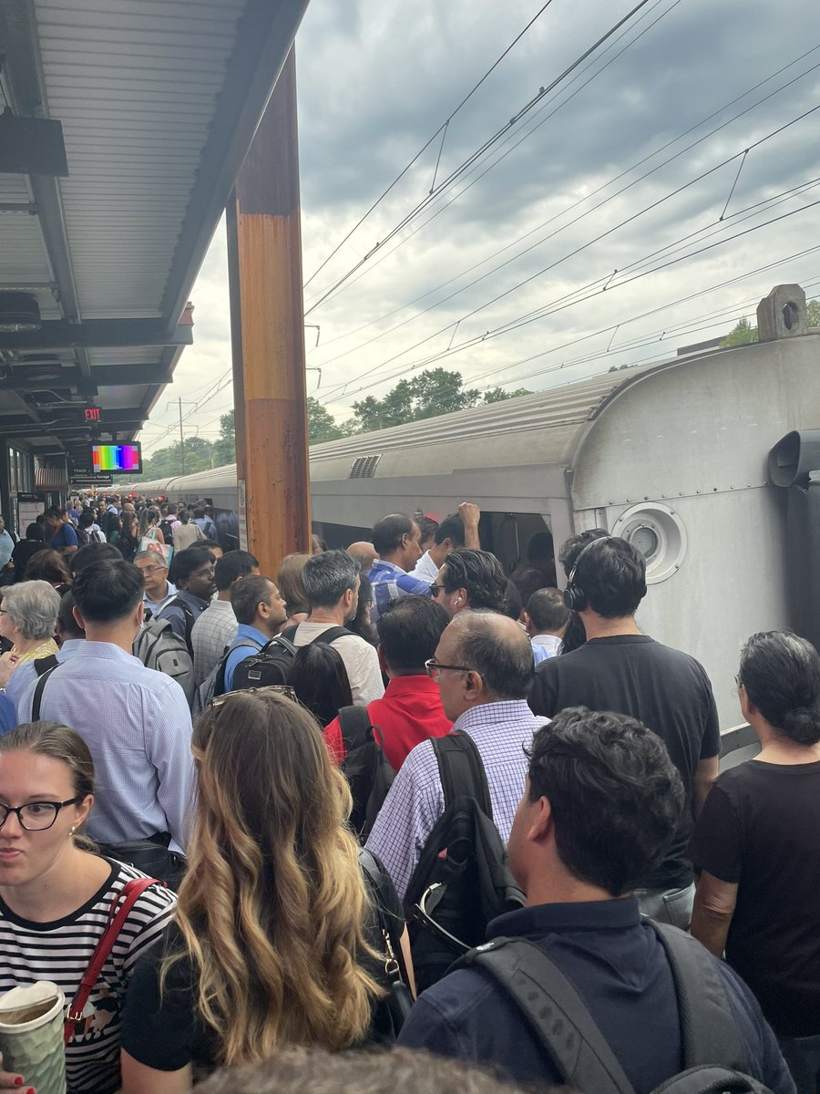 George Bates Studio tweet media