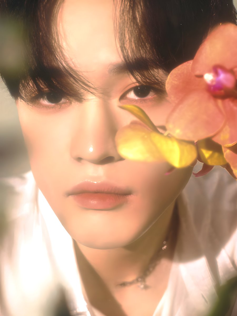 pretty.